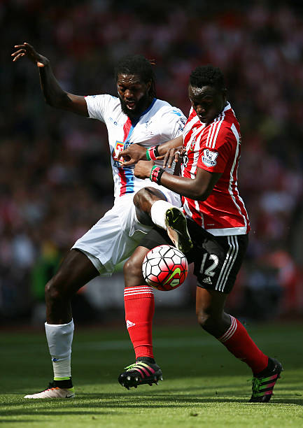 森纳在引进 森纳在引进