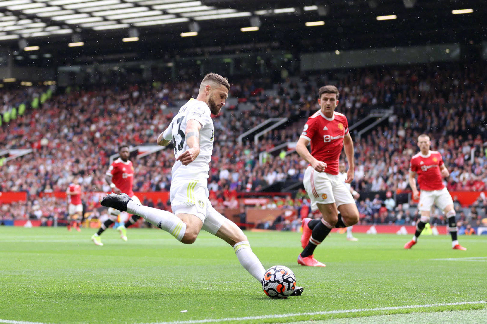 到了印度和 到了印度和